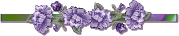 purpleflowerdivider.gif